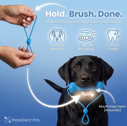 PawDent™