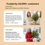 PreLit Norfolk Christmas Branches